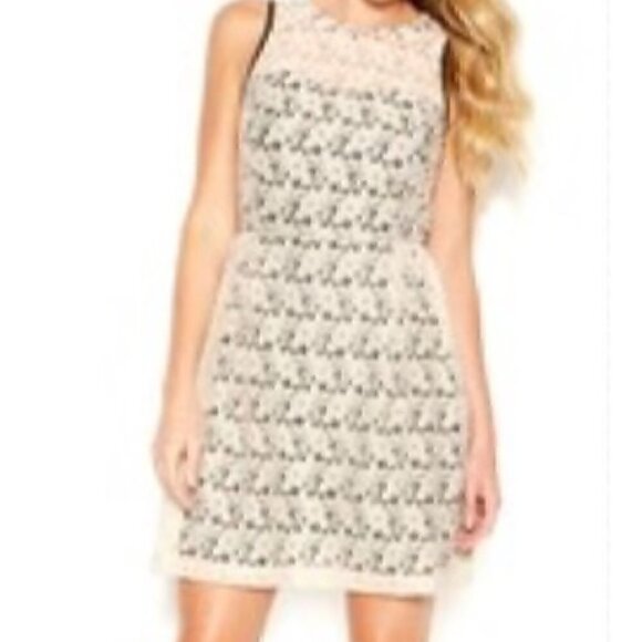 Kensie Dresses & Skirts - Kensie Beige And Black Embellished Crew-Neck Flared Dress Size XS (NWT)